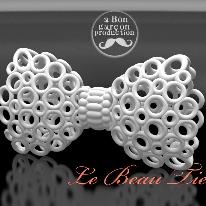 le beau gravata laço versão 3D print model - Mito3D