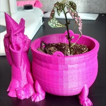 witch planter & garden tinkercad 3d print model - Mito3D