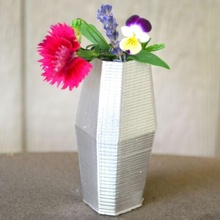 facet vase ii & garden tinkercad 3d print model - Mito3D