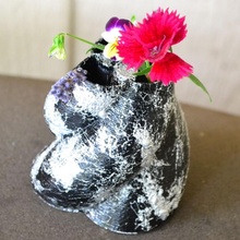 venn diagramma vaso giardino tinkercad 3d print model - Mito3D
