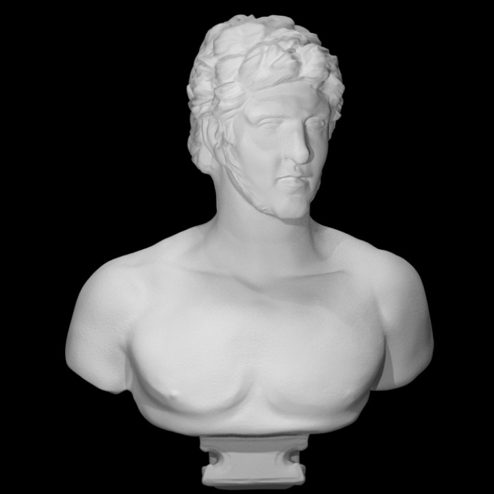 portrait buste identifié hellénistique analyse homme 3D print model - Mito3D