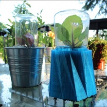 invernadero mini bricolaje diy jardín casa decoración jard iacute ortaliza plantas semillero semillos 3d print model - Mito3D
