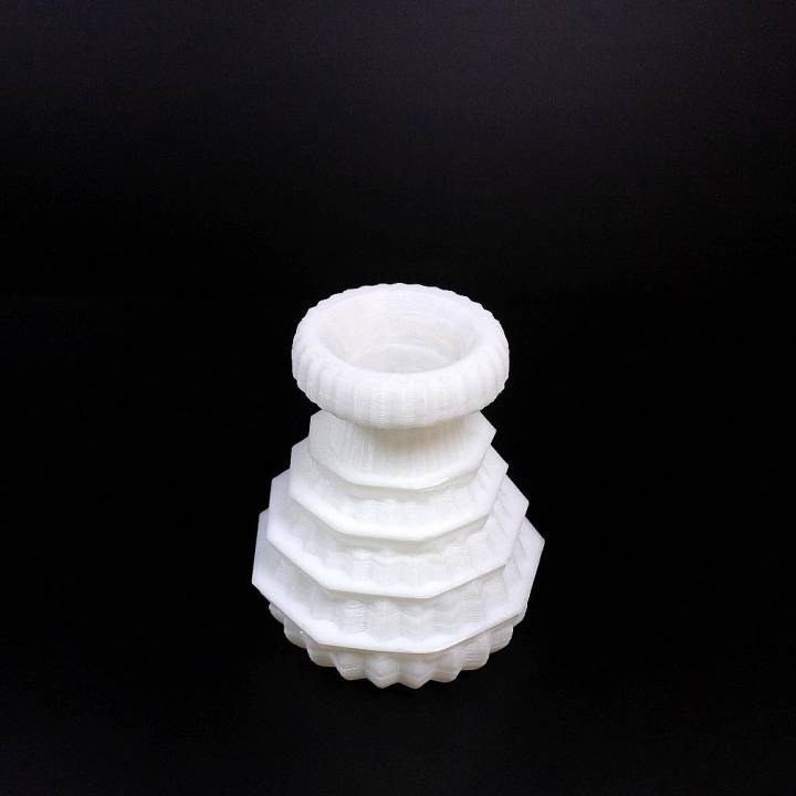 fancy vase & garden tinkercad 3D print model - Mito3D