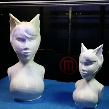 lyona fan art book wecouldbeheroes 3d print model - Mito3D