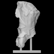 statuette fragment triton scan man halfbody 3d print model - Mito3D