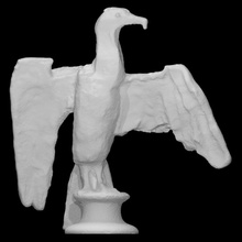 pliny's tristeza Varredura animal pássaro tamanho real 3d print model - Mito3D