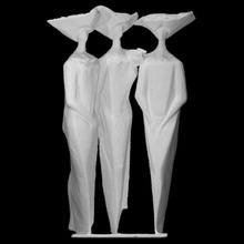 Schwestern Scan Frauen Fullsize 3d print model - Mito3D