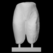 Fragment Statue Kouros Scan halber Körper 3d print model - Mito3D