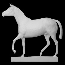 horse scan fullsize 3d print model - Mito3D