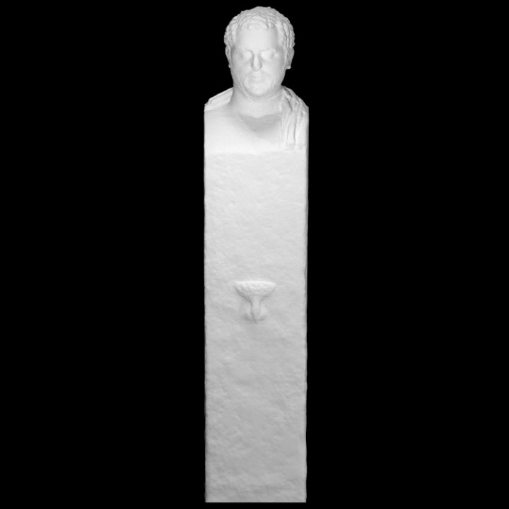 unfinished portrait herm scan kosmetes 3D print model - Mito3D