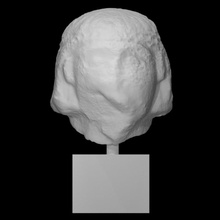 tête kouros analyse homme demi corps 3d print model - Mito3D