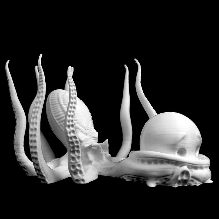 octopus hook & garden decoration marine 3D print model - Mito3D