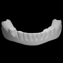 george washington's false teeth - scan george-washington dentures 3d print model - Mito3D