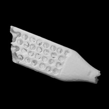 Knochen Zahnbürste Scan Objekt 3d print model - Mito3D