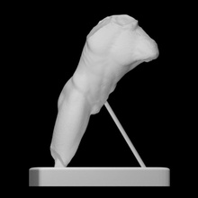 masculino torso escanear guerrero daphni santuario 3d print model - Mito3D