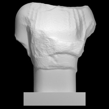 torse femelle statue analyse marbre attique Moscou 3d print model - Mito3D