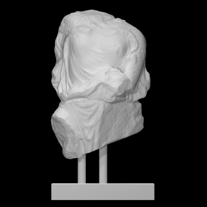 Torso weiblich Statue Scan Frau halber Körper 3D print model - Mito3D