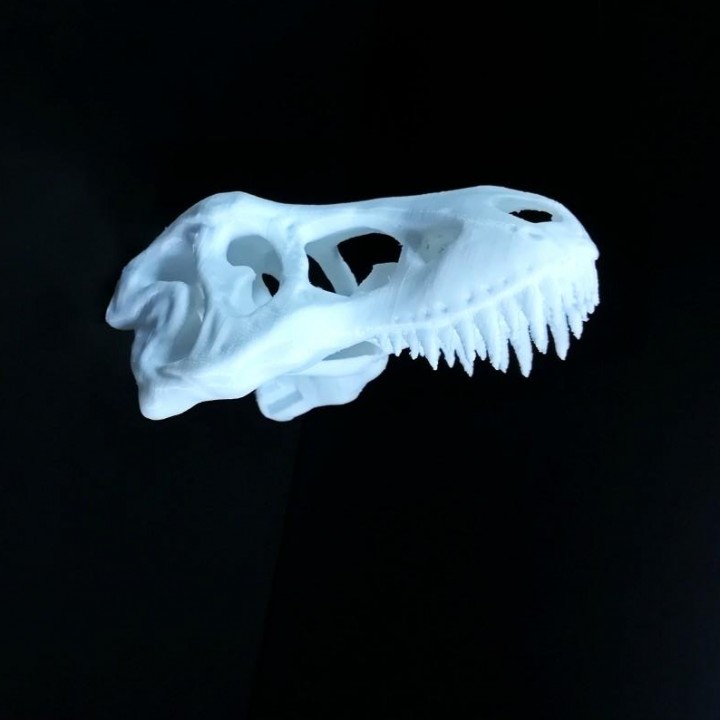 t-rex skull improved reptile hide fan art tinkercad dinusaur reptilehide 3D print model - Mito3D