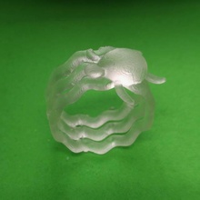 Tortuga anillo joyería 3d print model - Mito3D