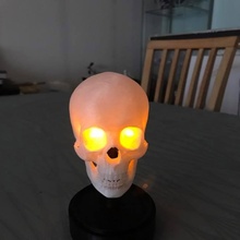 skull stand helmet & garden bone human 3d print model - Mito3D