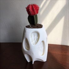 cactus vase & garden household planter interiordesign homedecor vectary myminifactorydesigncompetition vectary3d organicform 3d print model - Mito3D