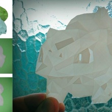 litofania poli pokemon hayran Sanat taş ocağı düşük ivysaur 3d print model - Mito3D