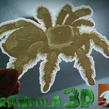 tarantula taş ocağı hayran Sanat hayvan Rahatlama litofania rahatlatma 3dlito Kontraluz 3d print model - Mito3D