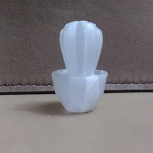 cactus vase jardin 3d print model - Mito3D