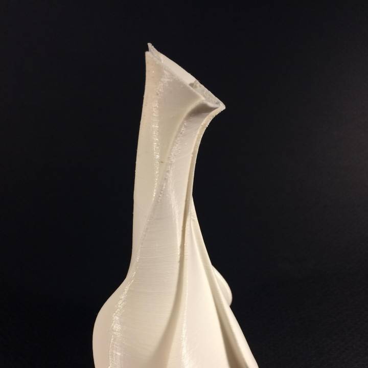bonita cuello florero jardín 3D print model - Mito3D