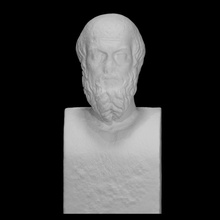 portrait head herodotus scan halfbody 3d print model - Mito3D