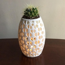 suspended vase & garden design lamp lighting cactus homedecor designcompetition vectary vectary3d perforations 3d print model - Mito3D
