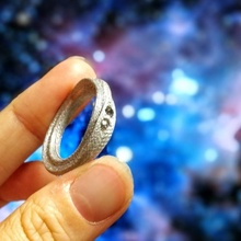 retorcido anillo costoso joyería joya veterinario 3d print model - Mito3D