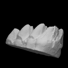 mastodonte molar m3 vcu 3d 2874 escanear objeto fragmento 3d print model - Mito3D