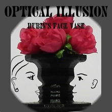 óptico espejismo florero rubin negativo espacio imagen jardín competencia magia ilusión óptica jarrón 3d print model - Mito3D