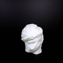 cambridge head of demetrios polyio filtrado Educação filtro 3d print model - Mito3D