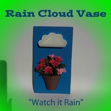 rain cloud pot plant vase & garden flowerpot planterpot vectarycompetition potplant 3d print model - Mito3D