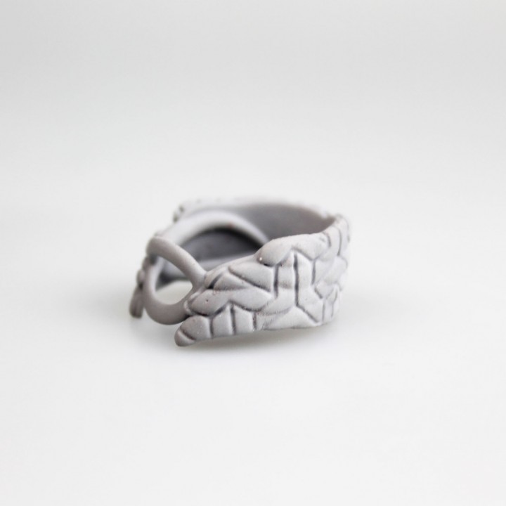 wing ring jewellery jewellery ring zbrush asiga b9 3dstudiomax resingmodel b9creator 3D print model - Mito3D