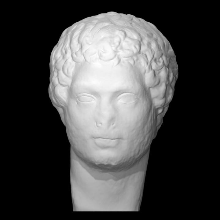 portrait head man scan 3D print model - Mito3D