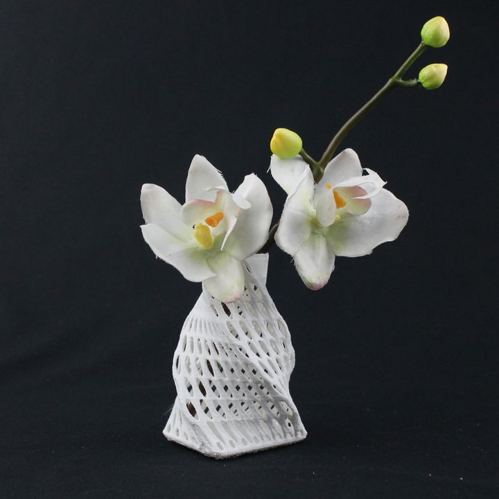 vazatriniks3 jardin vase 3D print model - Mito3D