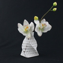 vazatriniks3 jardin vase 3d print model - Mito3D