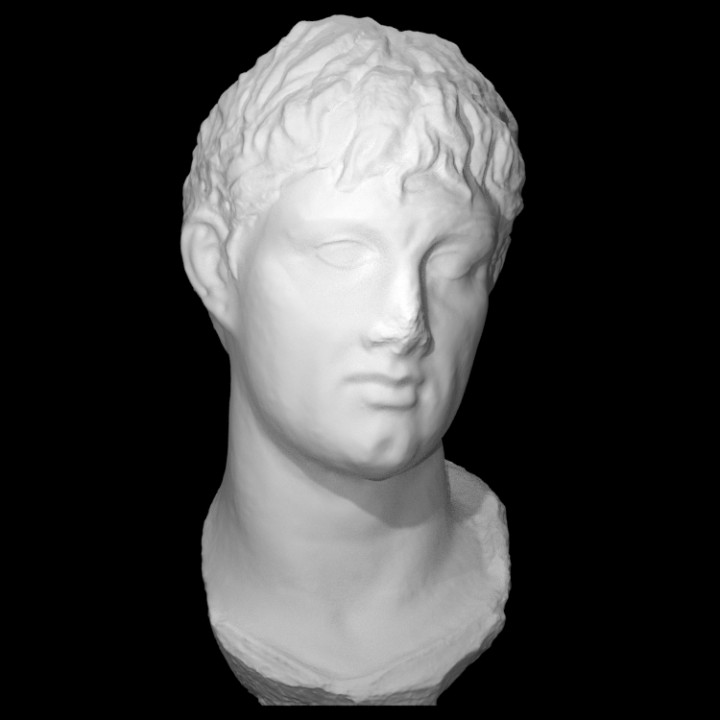 masculino retrato cabeça Varredura corpo 3D print model - Mito3D