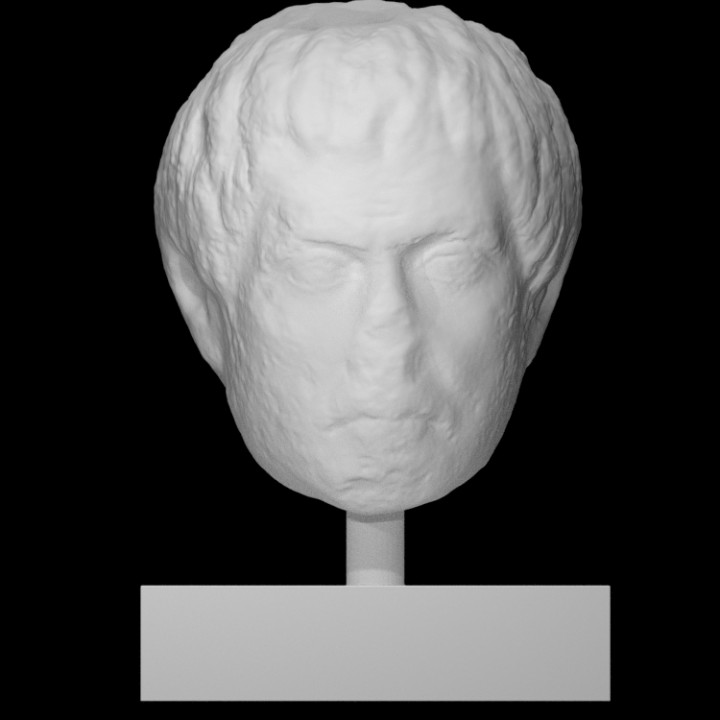 portrait head middle-aged man scan 3D print model - Mito3D