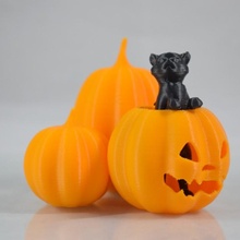cat pumpkin patch & garden black halloween lantern scary jack-o-lantern pumpkins 3d print model - Mito3D