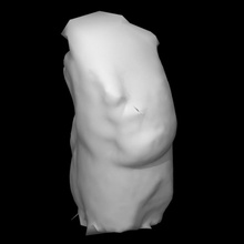 lost mountain head scan sony scantheworld 3d print model - Mito3D
