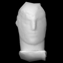 large blue purbeck head scan sony scantheworld 3d print model - Mito3D