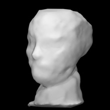 head iris scan sony scantheworld 3d print model - Mito3D
