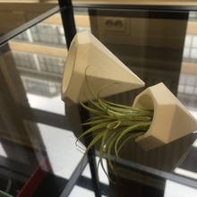 diamant air planteur jardin conception pendre airplant 3d print model - Mito3D