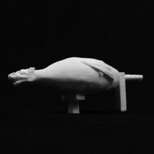 'snap' norwich drago museo castello scansione 3d print model - Mito3D