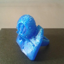 cidaroida deniz kestanesi yüzük fosil mücevher 3d print model - Mito3D