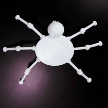 copy spider & garden tinkercad 3d print model - Mito3D